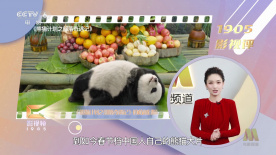 美女裸免费观看网站